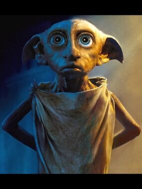 Dobby Custom Fridge Magnet Harry Potter Home Kitchen Decor